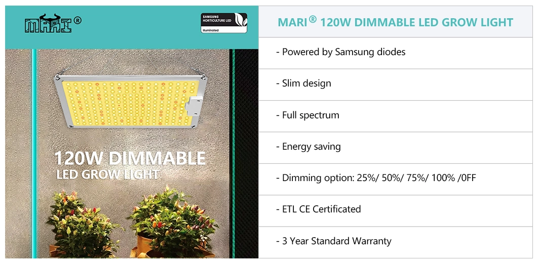 Quantum Board-Q 120W Smart Control Dimmable High Ppfd/Best in Field LED Grow Light Dlc Approved Full Spectrum Efficacy up to 2.7 Umol/J