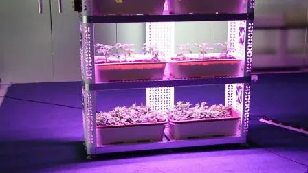 Sistema hidropônico de agricultura vertical estufa 35 W 75 W LED Grow Light