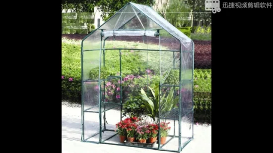 Miniestufa pop-up com cobertura transparente protegida para cultivo de plantas, tenda de flor portátil abrigo para jardim ao ar livre no quintal