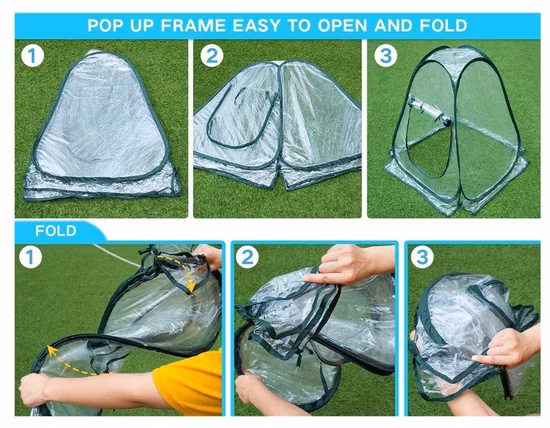 Miniestufa pop-up com cobertura transparente protegida para cultivo de plantas, tenda de flor portátil abrigo para jardim ao ar livre no quintal