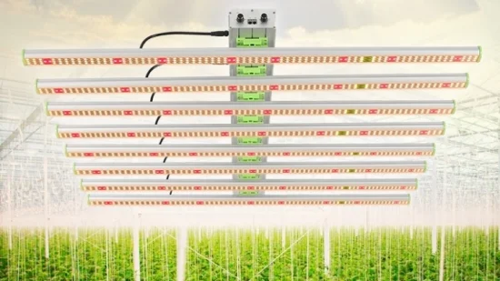 Luzes de cultivo de LED comerciais internas de espectro total de 4*4 pés com pegada grande CE RoHS FCC